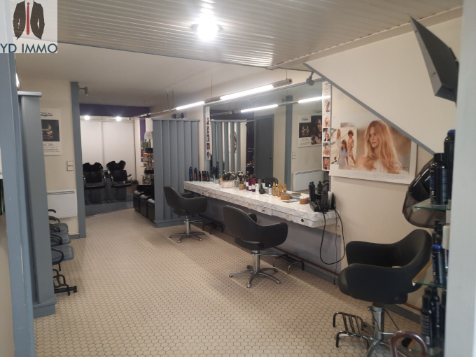 Vente Immobilier Professionnel Fonds de commerce Cadillac (33410)